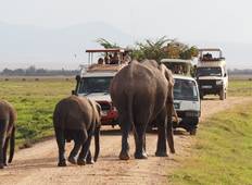 4-Days Masai Mara Budget Safari Tour