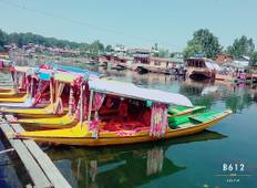 Prive 8-daagse tour Best of Kashmir met Gouden Tempel-rondreis