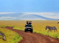 Masai Mara/Nakuru/Naivasha Camping Safari (Gruppenreise, 5 Tage) Rundreise