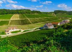 Cycling in Chablis Vineyards Tour