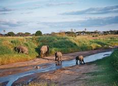 Kenia - Maasai Mara Safari und Mombasa Verlängerung (7 Tage) Rundreise