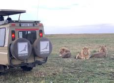 5-Day Tanzania Serengeti Safari - Luxury Tour
