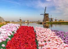 Tulip Time Cruise with 1 Night in Amsterdam 2023 Tour