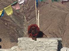 Lhasa und Yamdrok See Kleingruppenreise - 5 Tage Rundreise