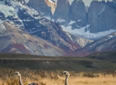 Patagonia Compact-rondreis