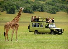 Masai Mara Lodge Safari im 4x4 Land Cruiser Jeep - Luxus (3 Tage) Rundreise