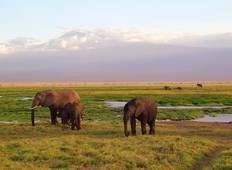 Tansanias und Sansibars Highlights erleben (15 Tage) Rundreise
