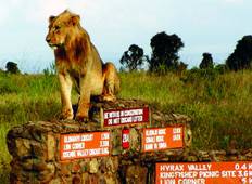 Nairobi National Park Guided Half Day Tour From Nairobi Tour