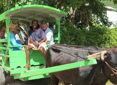 Cruising in the Seychelles (Garden of Eden) Tour