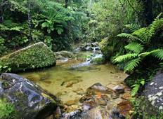 Wandel door het Abel Tasman National Park in Nieuw-Zeeland-rondreis