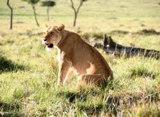 3 Days – Serengeti Joining group safari Tour