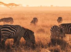 3 dagen - Serengeti en Krater Gedeelde Safari-rondreis