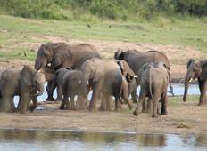 2 Tage Best Ever Krüger Nationalpark Safari ab Kapstadt Rundreise