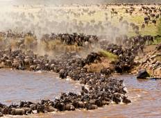 Serengeti Tierwanderung - Gruppen-Safari (6 Tage) Rundreise