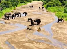 Safari in Tansania mit Reiseplan (10 Tage) Rundreise