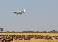 3 dagen Serengeti Fly in vanaf Zanzibar Jagen op migratie van wildebeesten en grote kattenacties-rondreis