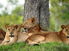 3-Day Tanzania Nyerere (Selous) Game Drive - Budget Tour