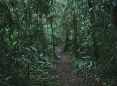 Bossen & Kusten van Costa Rica; een Ecotoeristisch Avontuur-rondreis