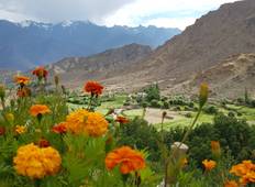 Wandern in den Klöstern von Ladakh Rundreise