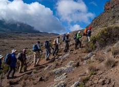 Safari und Kilimanjaro-Wanderung (2 Tage) Rundreise