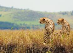 Die Ebenen Afrikas - Kenia Wildlife Safari (von Nairobi bis Amboseli) Rundreise