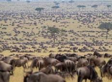 3-Day Maasai Mara Private Safari at Sopa Luxury Lodge from Nairobi Tour