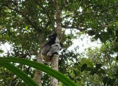 12 dagen Madagaskar Ontdekkende Tour Pakketten-rondreis