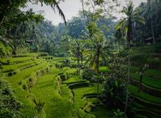 Eiland Van De Goden: De Ultieme Bali-route-rondreis