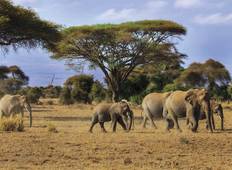 Abenteuer Ostafrika - Ngorongoro-Krater & Serengeti-Nationalpark Rundreise