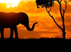 Victoriafälle & Ostafrika-Abenteuer - Ngorongoro-Krater & Serengeti-Nationalpark Rundreise