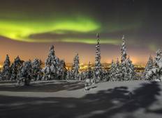 3-Dagen in Rovaniemi: Kerstman dorp, Arctische winter activiteiten, en 2-nachten Aurora jacht-rondreis