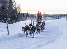 Hundeschlittenfahrt durch Schwedisch-Lappland Rundreise