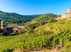 Villages & Vineyards of Alsace (from Colmar to Itterswiller) Tour
