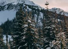 Gesellig werden: Kanadische Rocky Mountains (Winter) Rundreise