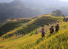 Noord- & Centraal Vietnam: Hanoi, Hoi An & leven op het platteland-rondreis