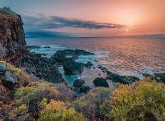 Wunder von Madeira und den Kanarischen Inseln - Karneval von Santa Cruz von Teneriffa (9 destinations) Rundreise
