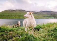 Short trip Faroe Islands Tour