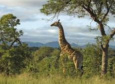 3-day Durban, Culture and Wildlife Accommodated Tour