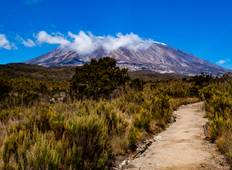 Kombinieren Sie Safari, Kilimanjaro-Wanderung und Materuni-Rundreise Rundreise