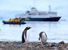 Best of Antarctica: Pristine Wilderness (Ocean Endeavour) Tour