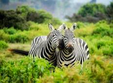 Sanbona Wildlife Safari & Tuinroute 5Dagen/4Nachten-rondreis