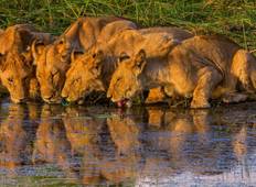 Botswana Highlights Safari - Komfort (7 Tage, 6 Nächte) Rundreise