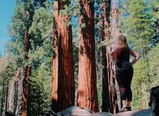 Yosemite Camping Tour - Der beste Weg, um den ganzen Yosemite zu erkunden Rundreise