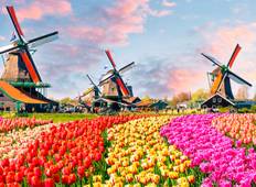 Tulpen & de Rijn - Ludwigshafen - Schwetzingen (Start Amsterdam, Finish Zürich)-rondreis