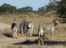 Victoriafälle, Chobe-Nationalpark & Hwange Rundreise