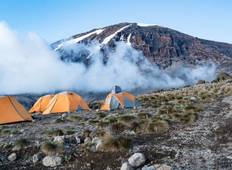 Climb Kilimanjaro Via Lemosho Route 7 Days Tour
