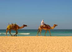 Southern Morocco & Western Sahara Tour