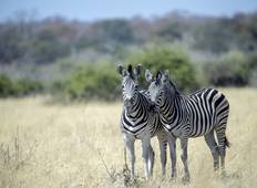Wildernis van Zuidelijk Afrika: Safari over land & water (Johannesburg tot Victoria Falls)-rondreis