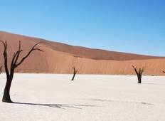 Namibia Desert Tours Tour