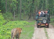 Golden Triangle & Tiger Safari  With 4 Star Hotels Tour
